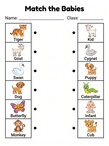 Match the babies worksheet