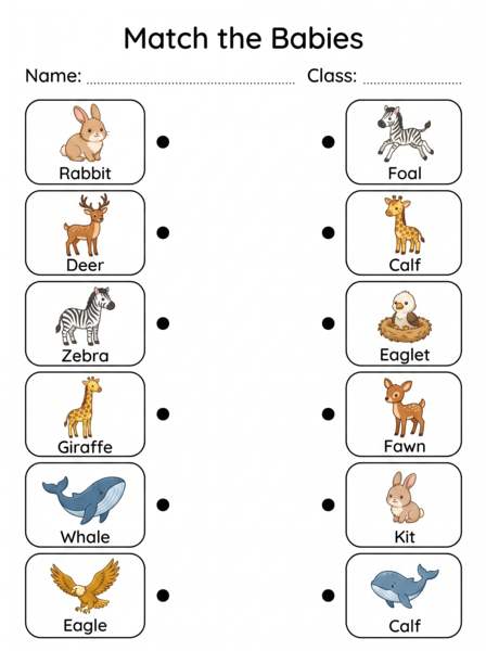 Activity worksheet